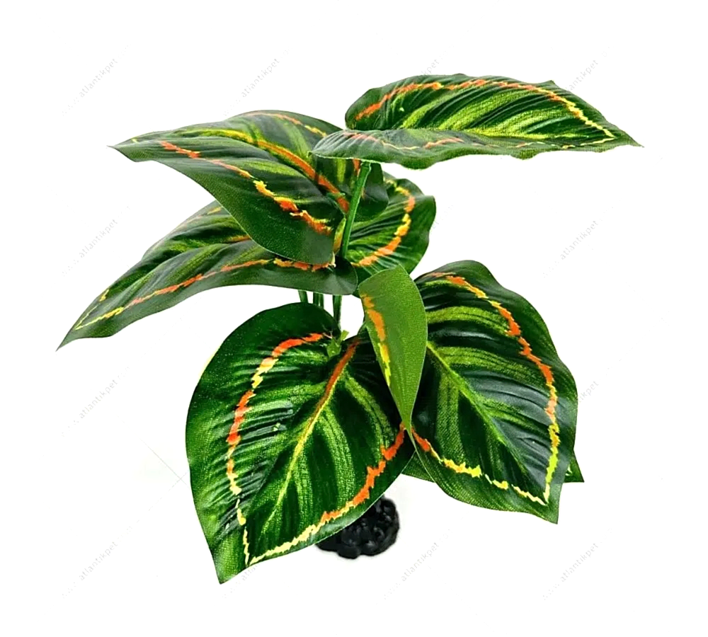 Atlantik Lüx Geniş Yapraklı Akvaryum Plastik Bitkisi 20cm