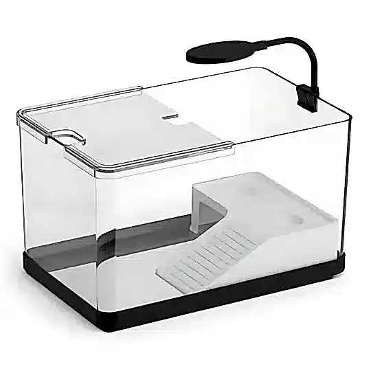 Haqos Turtle Simple 30 Ledli Plastik Kaplumbağa Bahçesi 30x19x18,5Cm