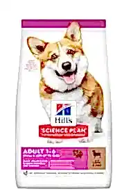 Hills Küçük Irk Kuzulu Yetişkin Köpek Maması 6 Kg
