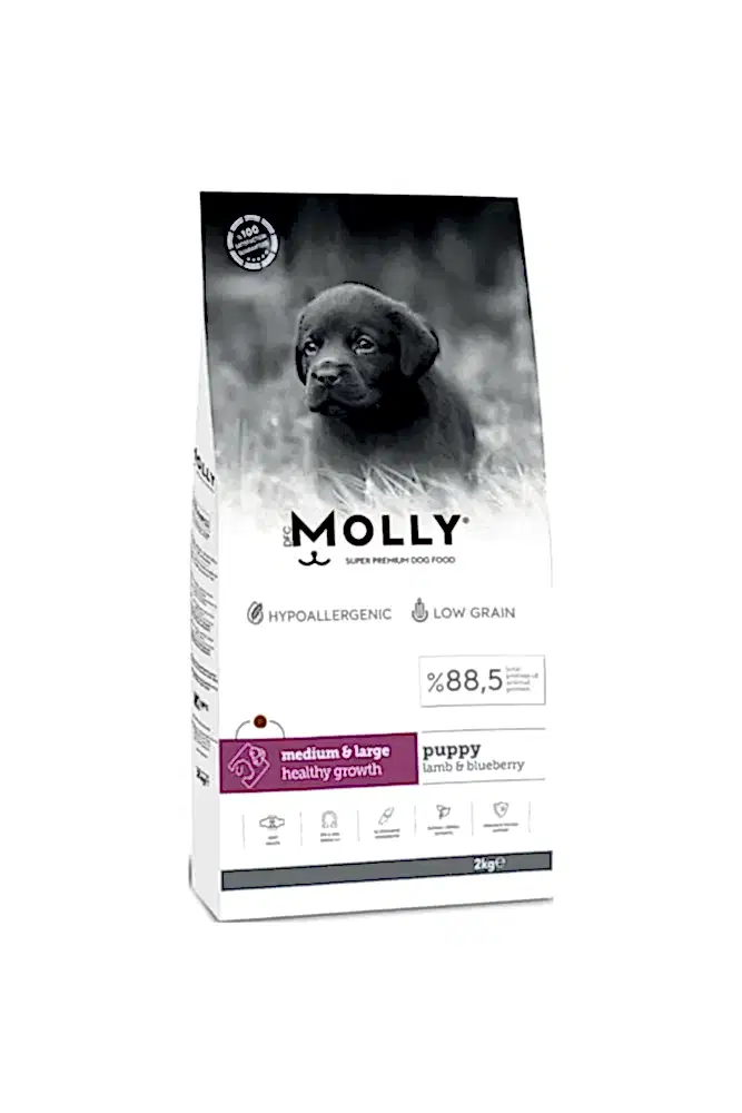 Molly Kuzulu Yabanmersinli Orta ve Büyük Irk Yavru Köpek Maması 2kg