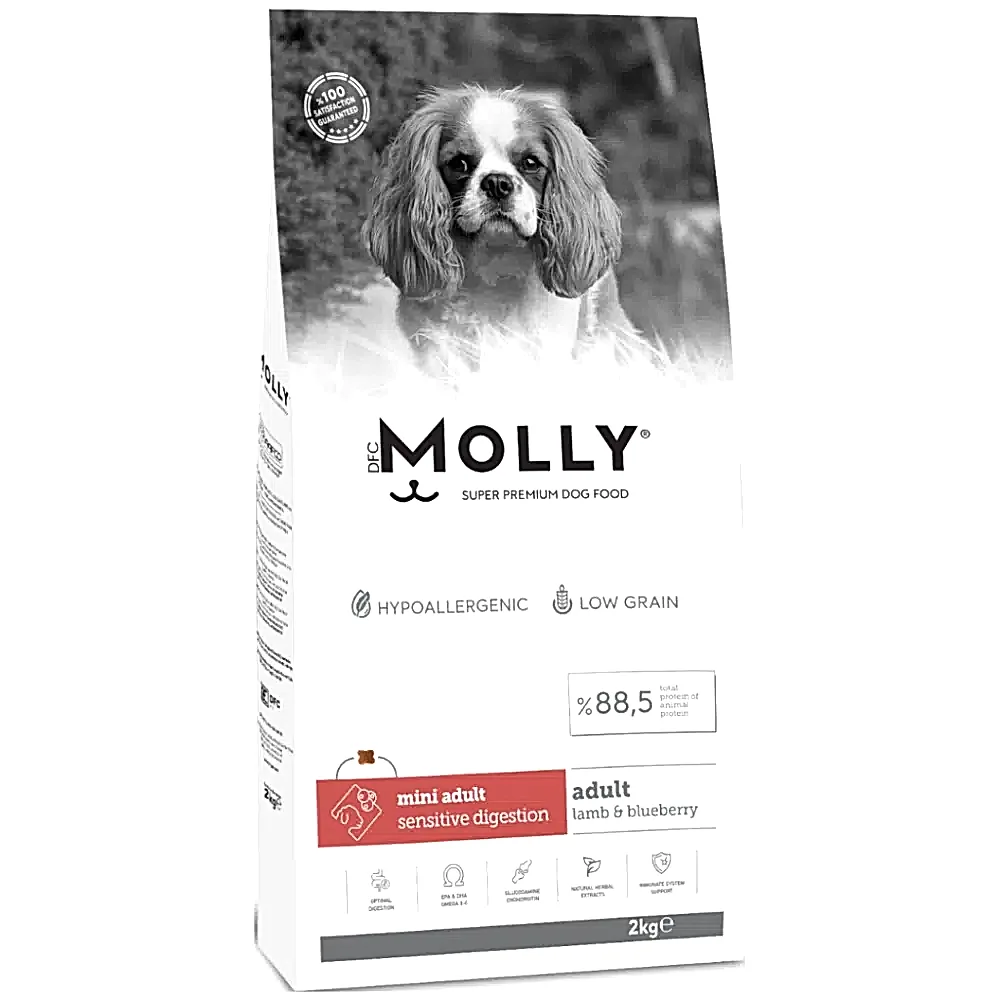 Molly Mini Adult Kuzu Etli Yaban Mersinli Küçük Irk Yetişkin Köpek Maması 2 Kg