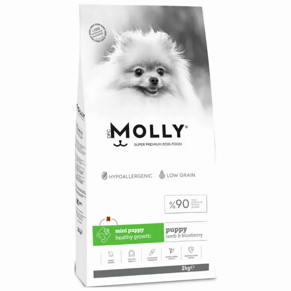 Molly Mini Puppy Kuzu Etli Yaban Mersinli Küçük Irk Yavru Köpek Maması 2 Kg