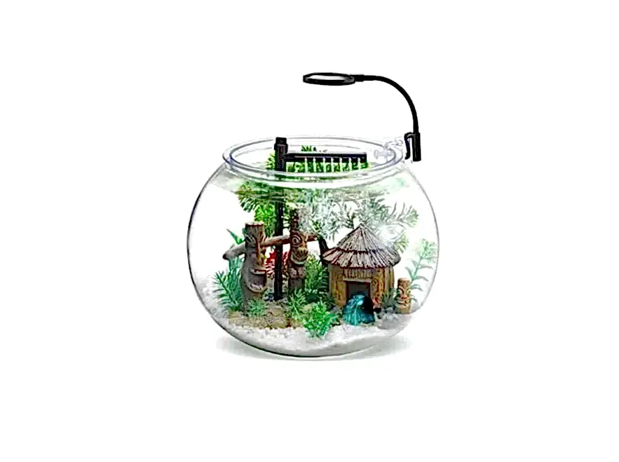 Nubios Masaüstü Plstik Fanus Seti 12l Nb-300 670-Bs-02a