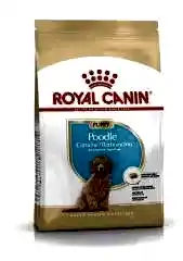 Royal Canin Poodle Yavru Köpek Maması 3 Kg