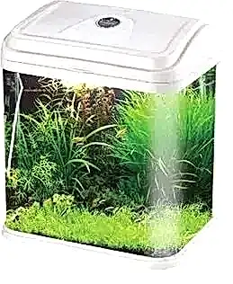 Rs Bombeli Akvaryum RS-380 38*22*44