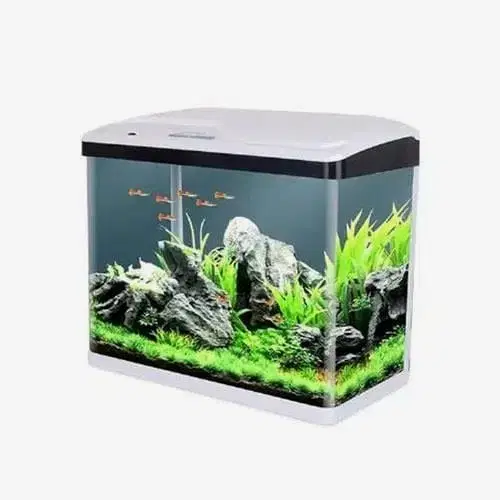 Sobo Komple Akvaryum 30x19x33,5 Cm Beyaz